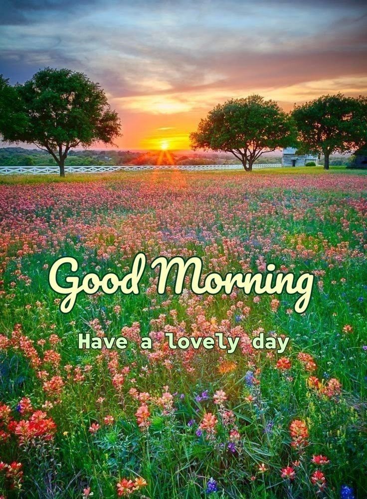 Good morning X family 🌄🤍🫶