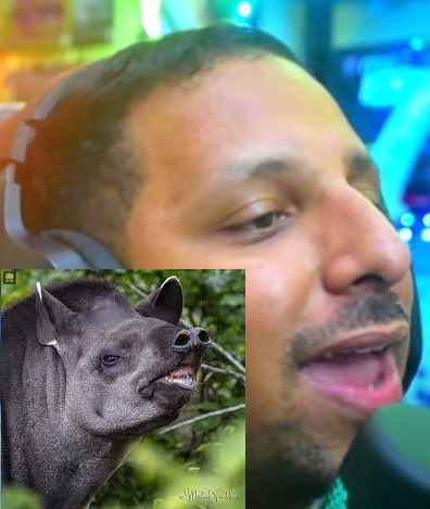 BiZetsito busca gente para ya saben #Joteros☢️🏴☠ tweet media