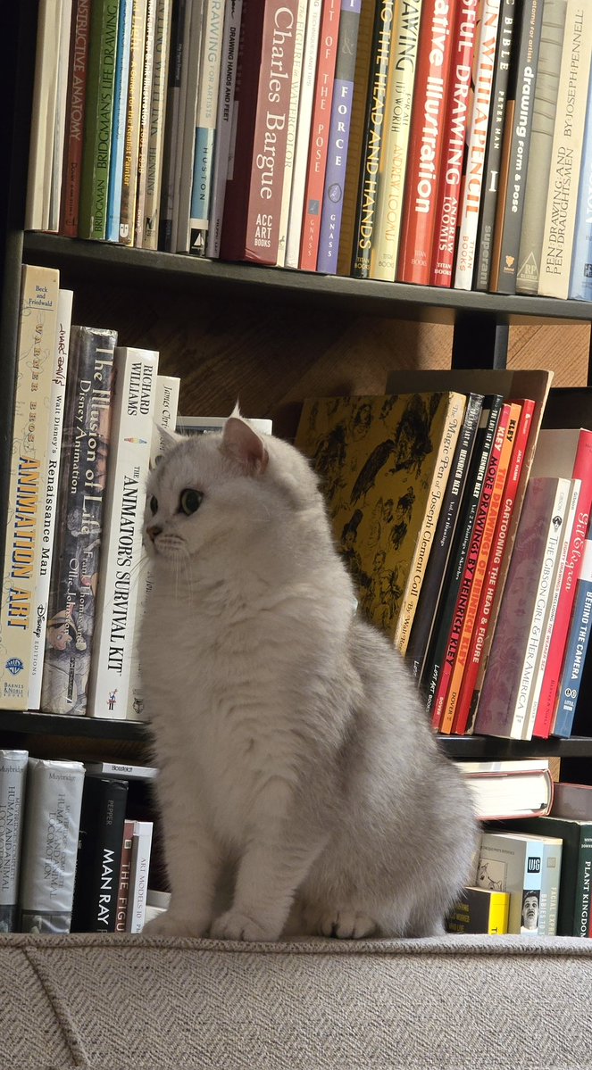 Mohammad Modarres | محمد مدرس tweet media