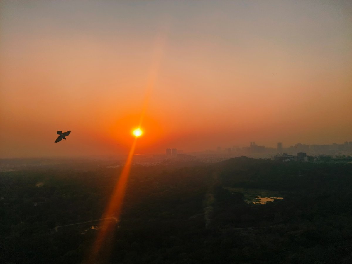 Fun Tech. tweet media