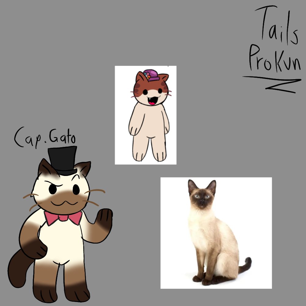 Tails Prokun 21 tweet media