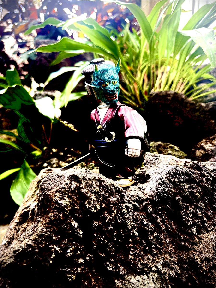 きゅーぴー tweet media