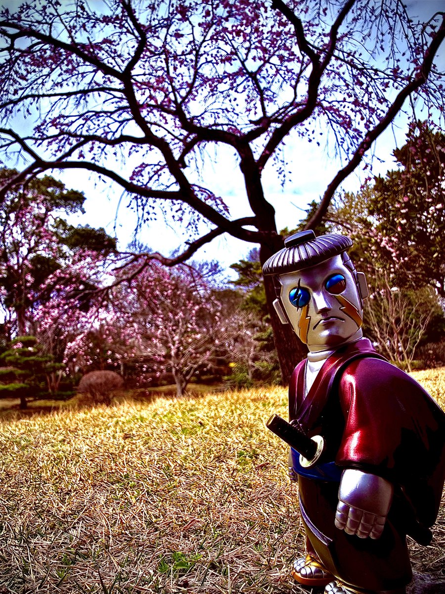 きゅーぴー tweet media