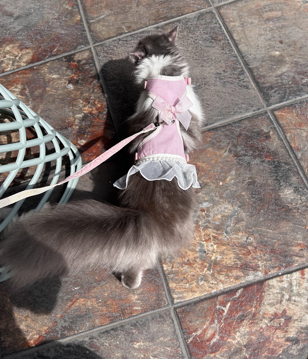 ૮ㅠ ﻌ ㅠა tweet media