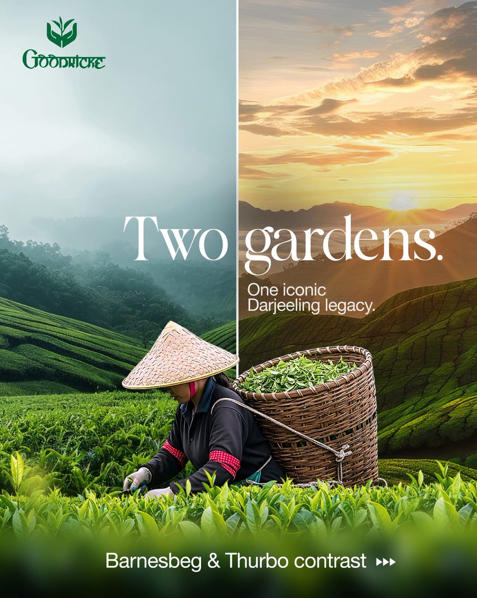 Goodricke tweet media