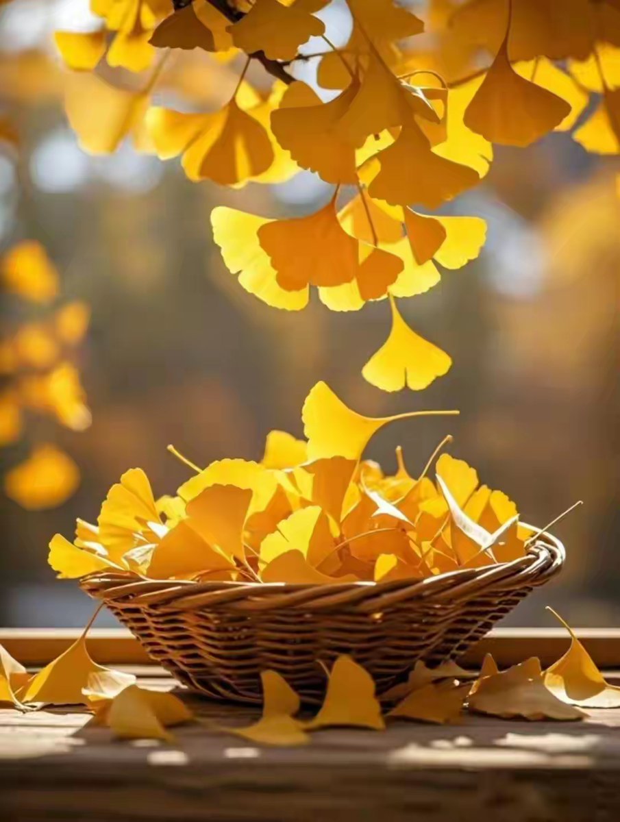 Paul Ramey tweet media