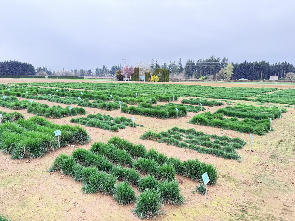 avikm90's tweet photo. It was a pleasure attending the Western Cover Crop Council (WCCC) Board Meeting in Portland, Oregon, along with visiting several cover crop trials and seed production facilities across the region. https://t.co/g33hMecMlS