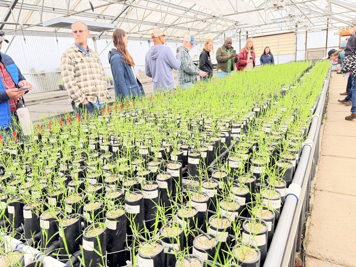 avikm90's tweet photo. It was a pleasure attending the Western Cover Crop Council (WCCC) Board Meeting in Portland, Oregon, along with visiting several cover crop trials and seed production facilities across the region. https://t.co/g33hMecMlS