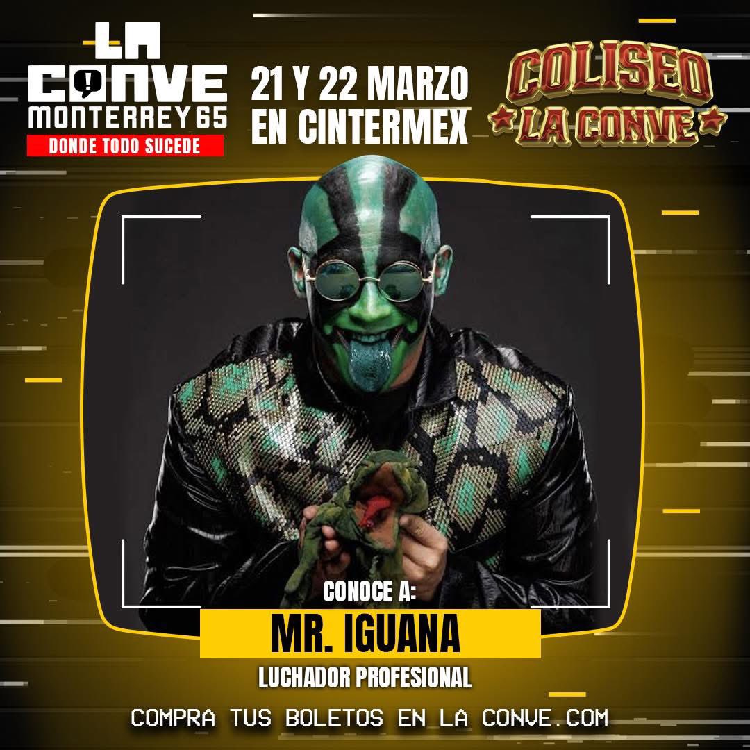 Mr. Iguana tweet media