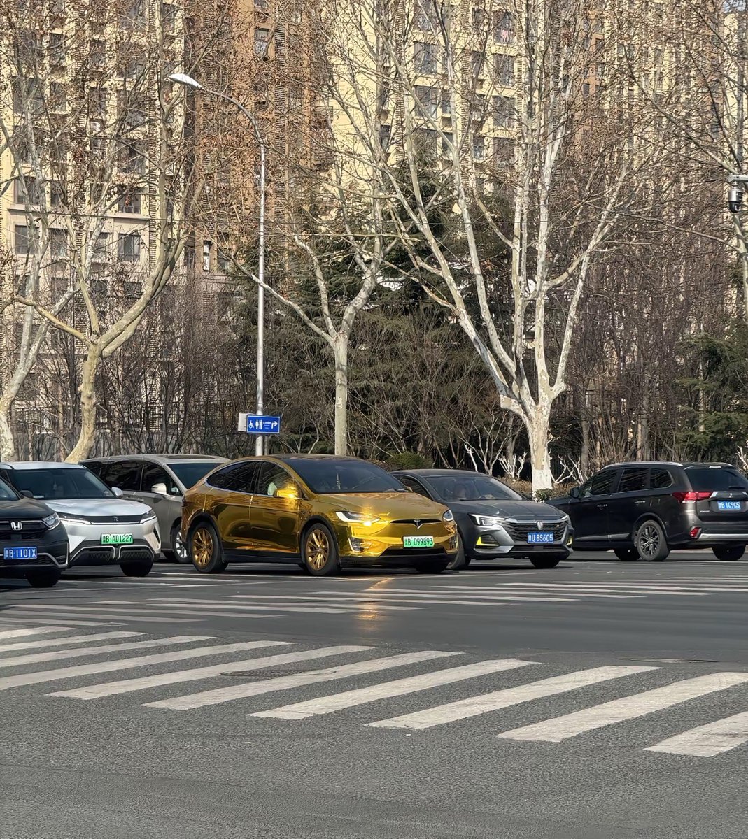 Tesla Aaron L tweet media