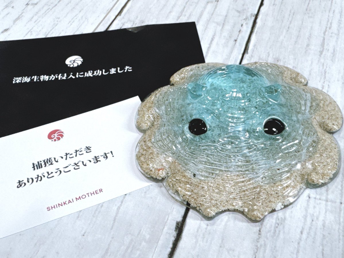 🫧まるげっぺい🫧ゆみりん tweet media