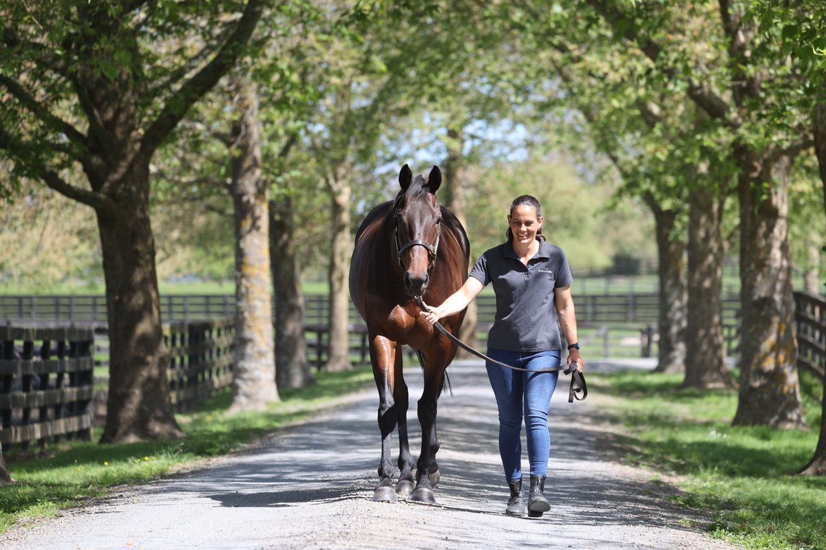 Elsdon Park tweet media