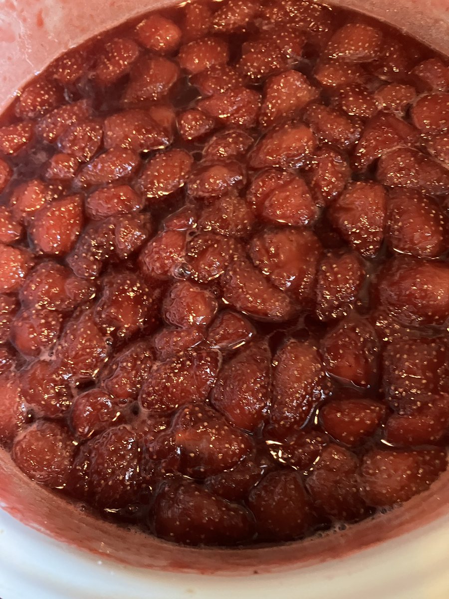 ATELIER KATZE tweet media