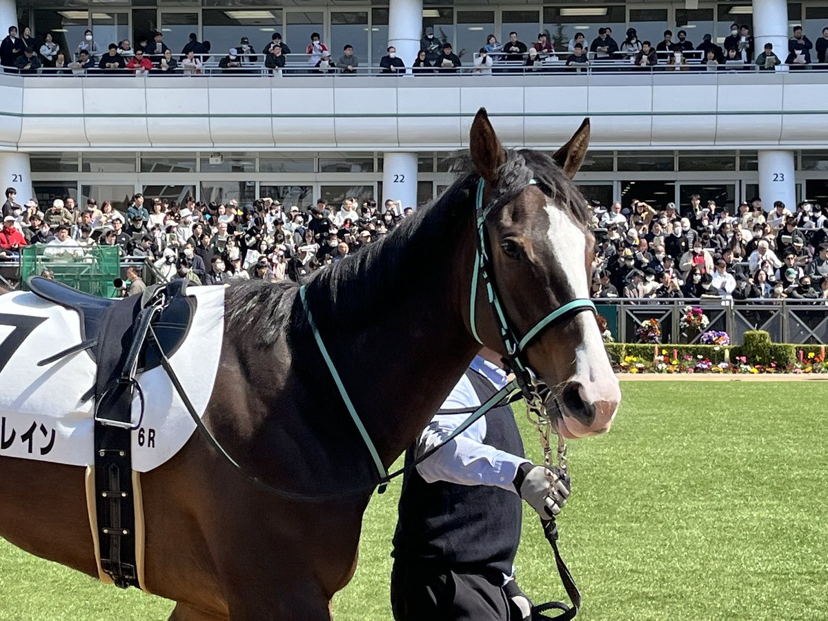 🐴馬美（うまみ） tweet media