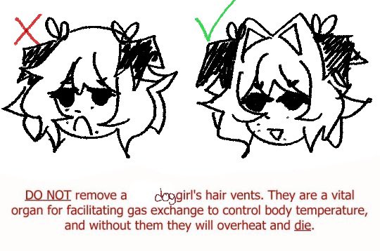 ‍‍ ‍‍ ‍‍ ‍‍ ‍‍ 𝑝𝑢𝑝𝑝𝑦 𝑝𝑟𝑖𝑛𝑐𝑒𝑠𝑠 𝝑𝝔 .ᐟ tweet media