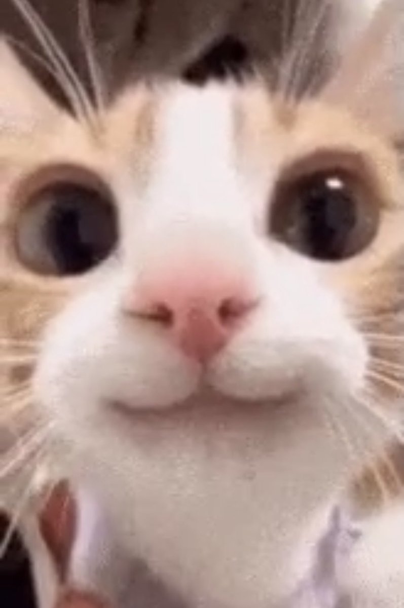 RedStripedEmily 💎 ❤️ tweet media