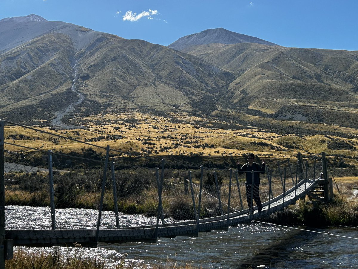 日本大学豊山女子高等学校・中学校 tweet media