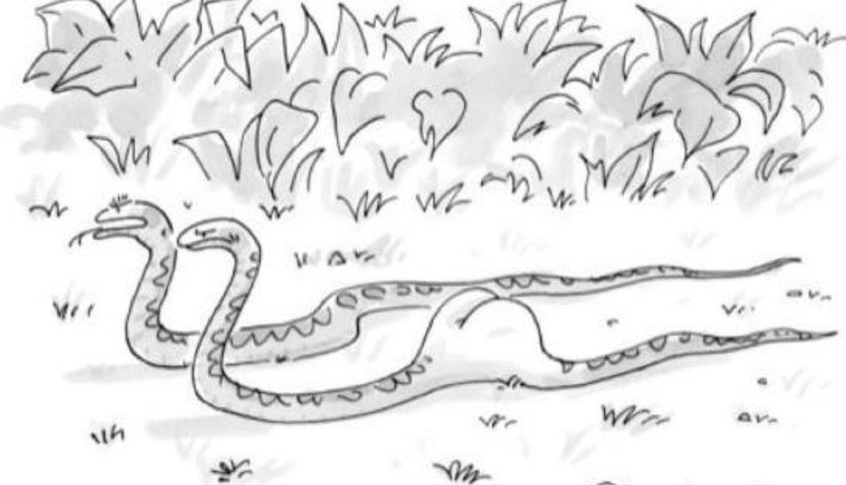 Heisenberg tweet media