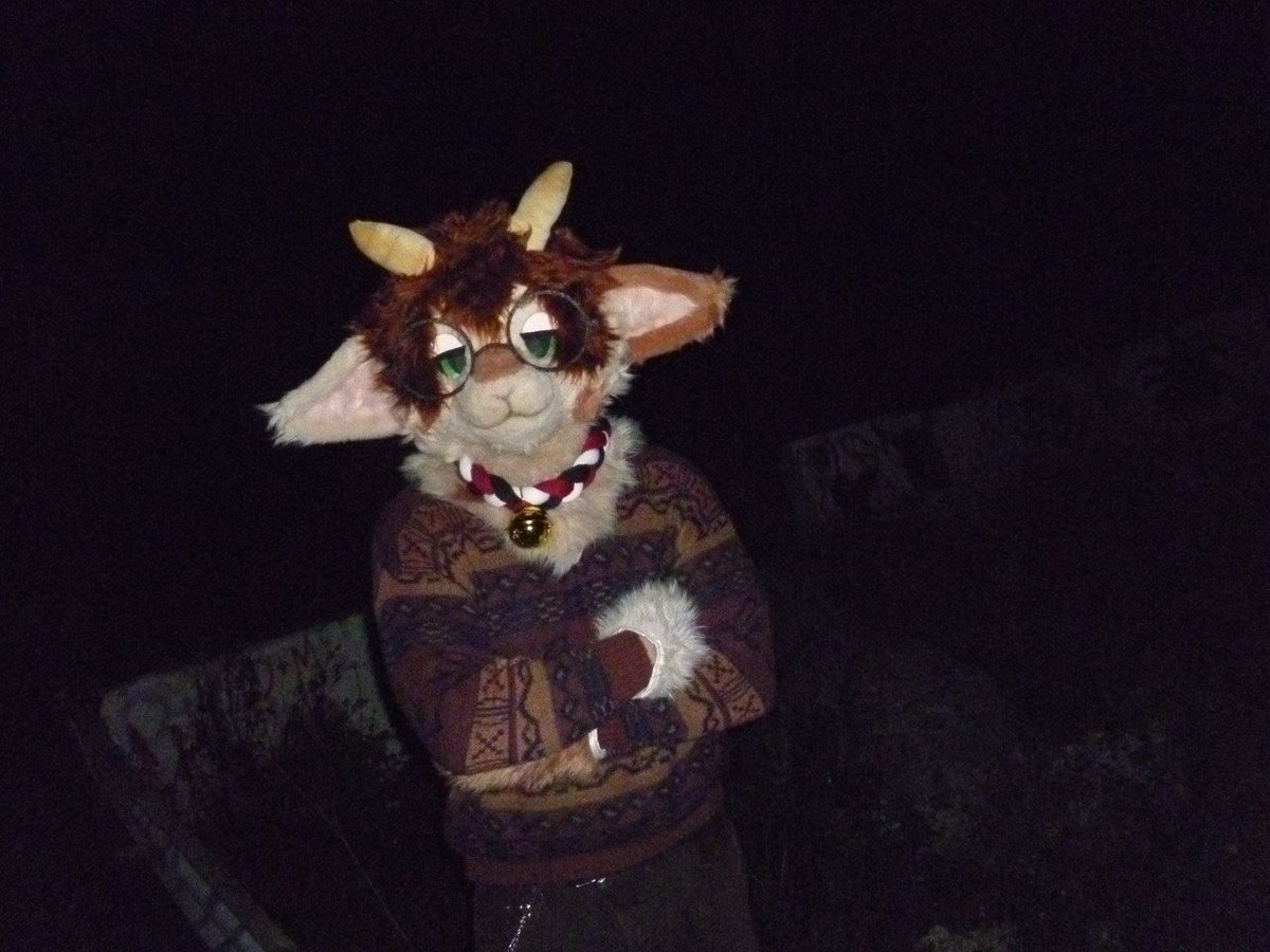 max 🔜 FWA, MP tweet media