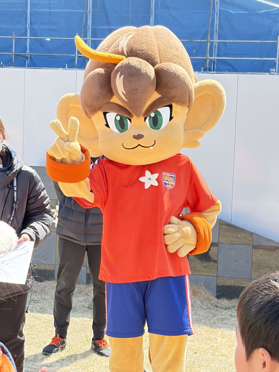 みほパンダ tweet media