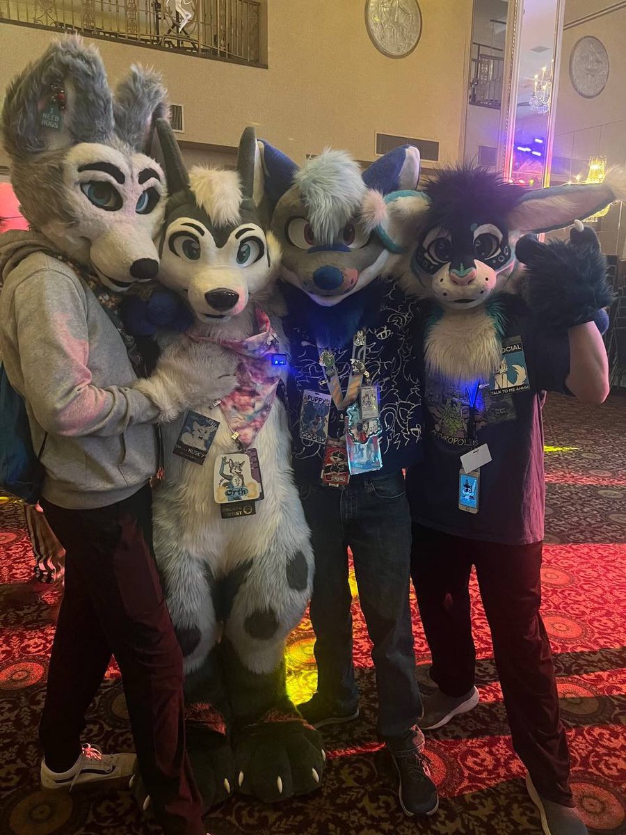 Daytona “Speedy” Husky! 🔜 BWS! AWU! MPX? FM? MFF! tweet media