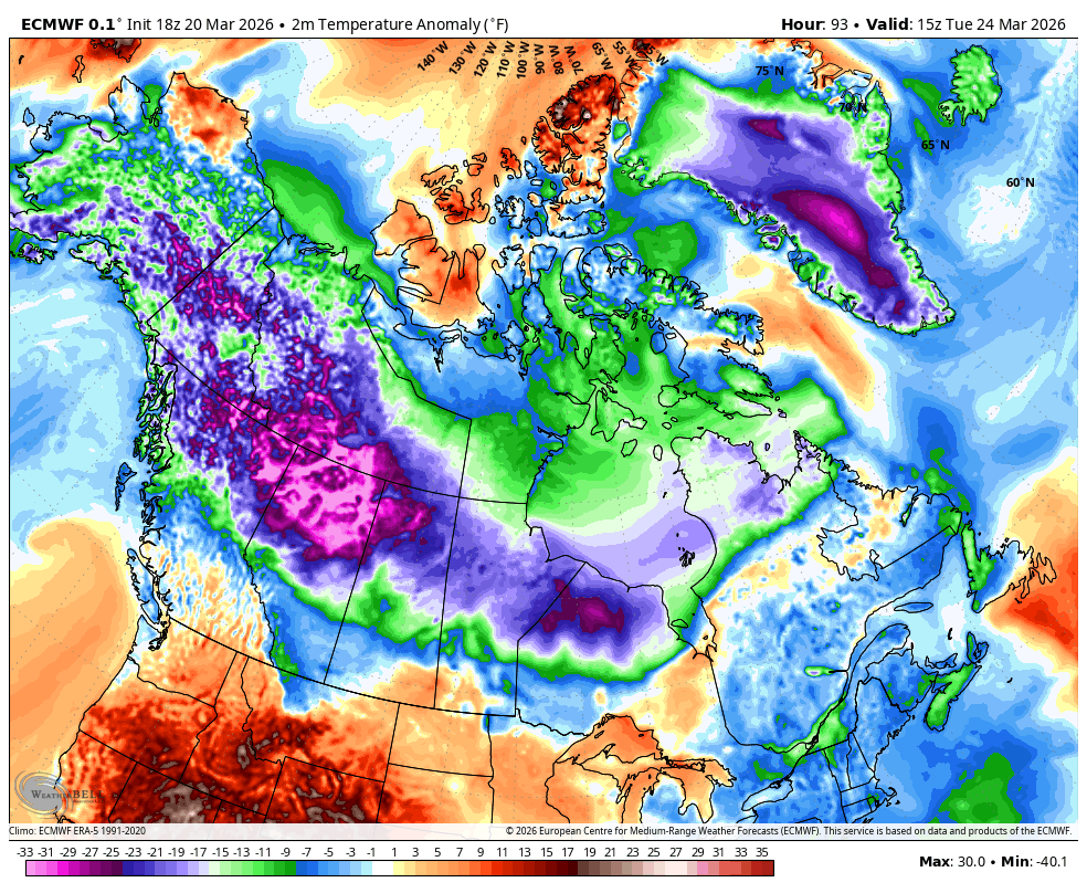 The American Storm tweet media