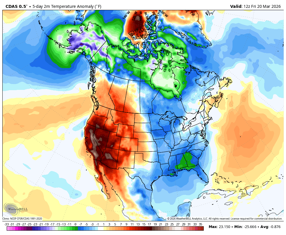 The American Storm tweet media