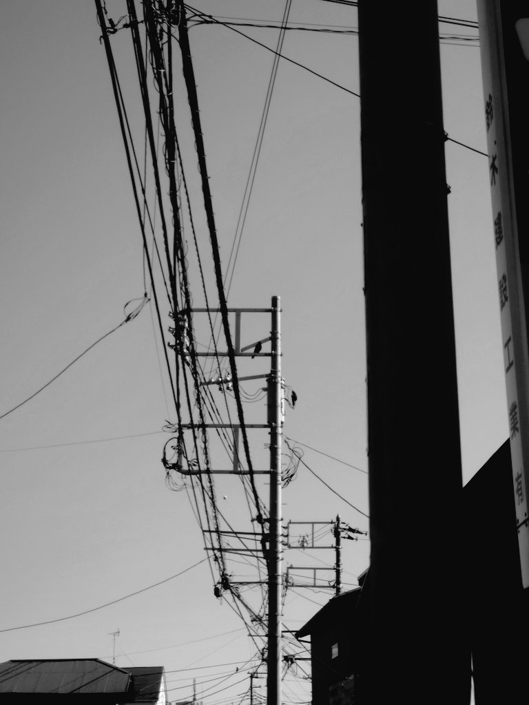 直蔵nft (ﾅｵｿﾞｳ🛐naozo)彡 ⌐◨-◨ ☆彡 tweet media