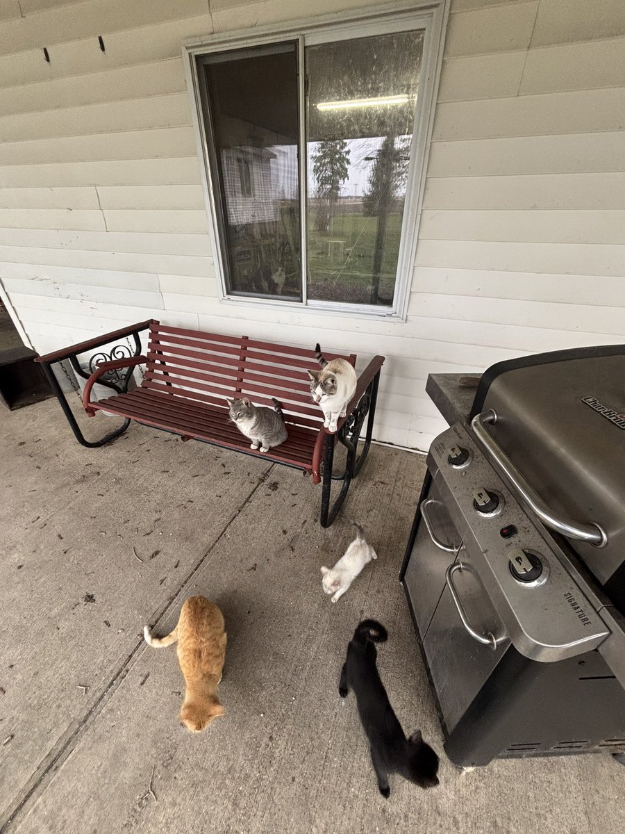 Bob Storm tweet media