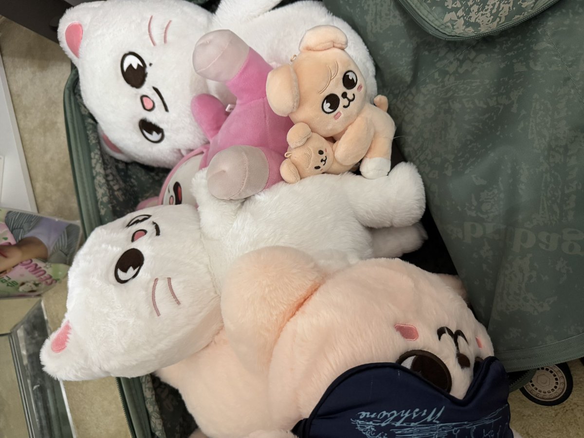 urnotsilly's tweet image. only packing the #essentials