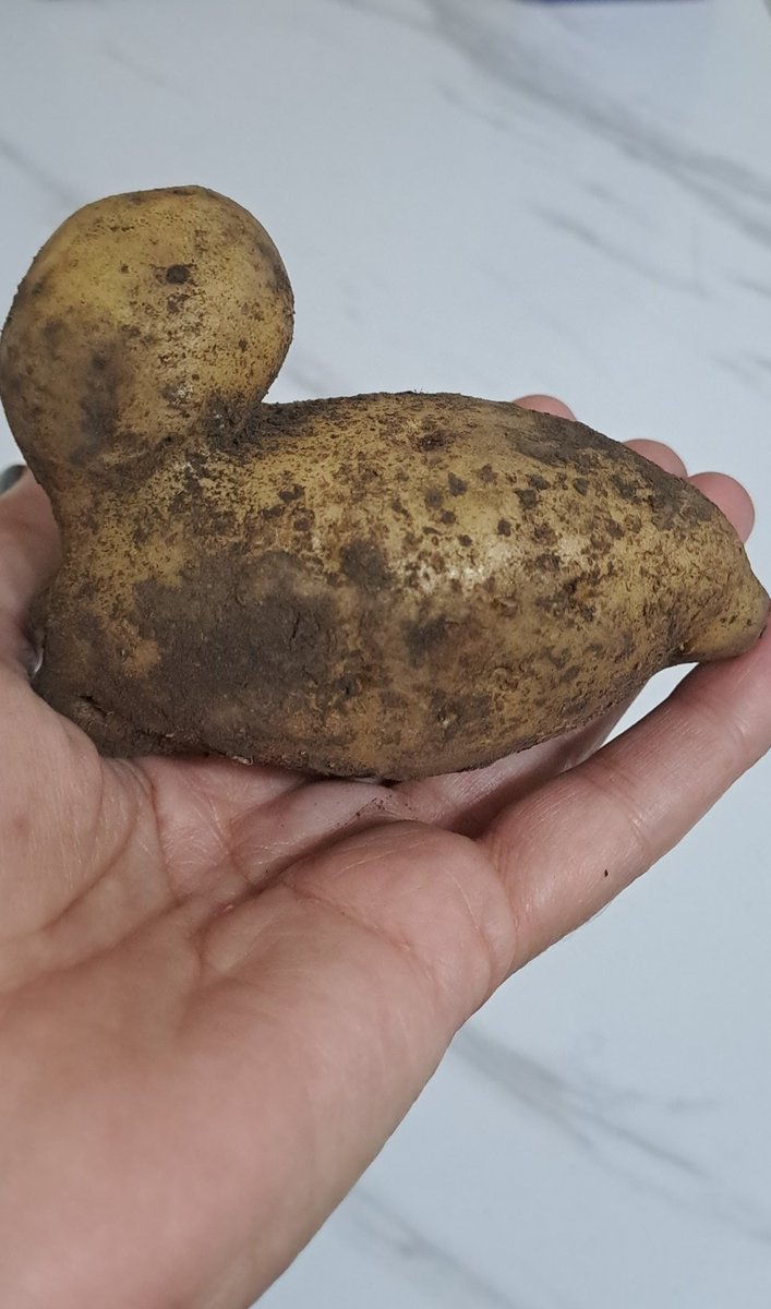 Miᄂi🧡 tweet media