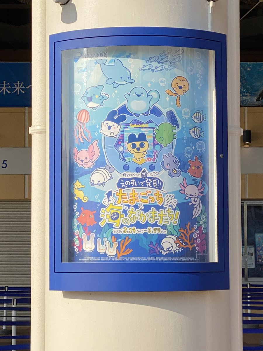 まるこ tweet media