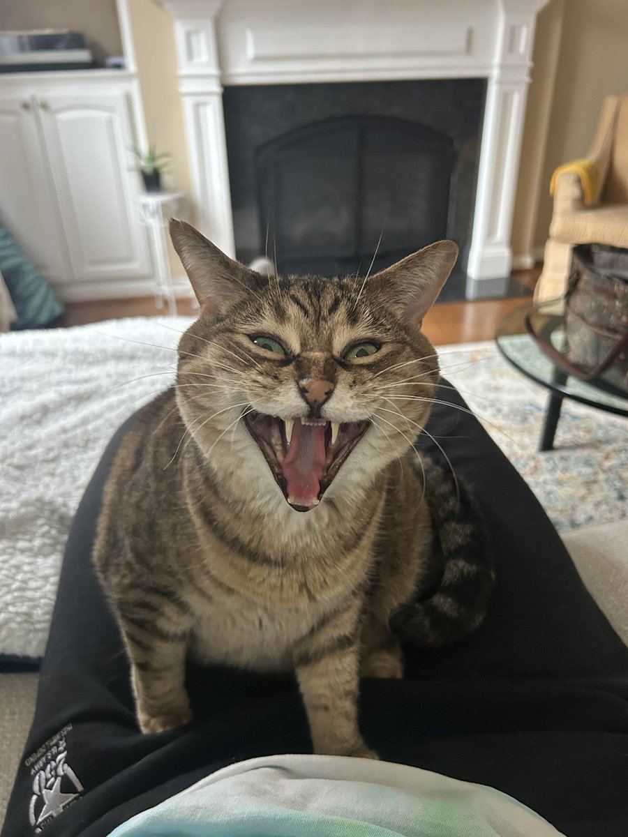 Faith Ann is cold tweet media