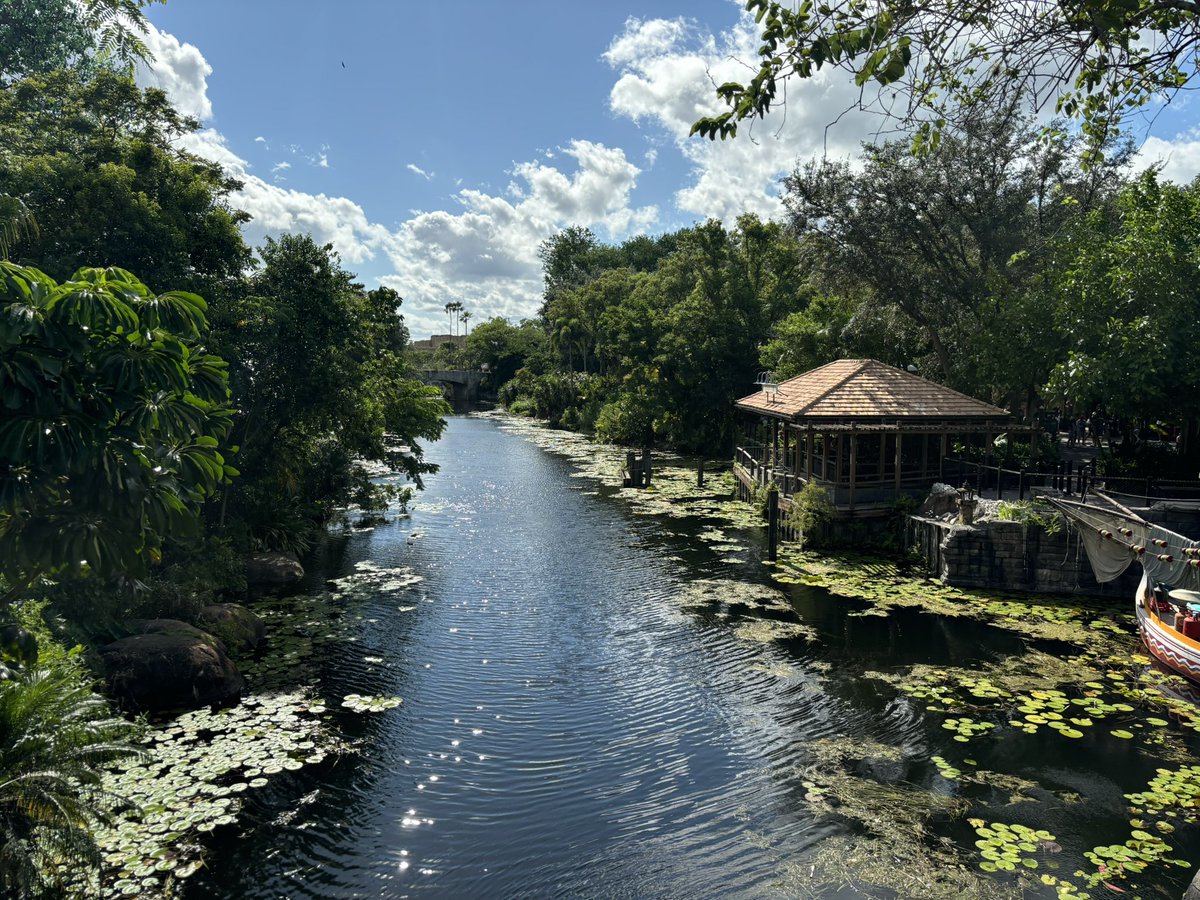 Safari Mike tweet media