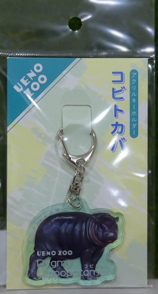 園内ギフトショップより】 🦛好評発売中🦛 「アクリルキーホルダー