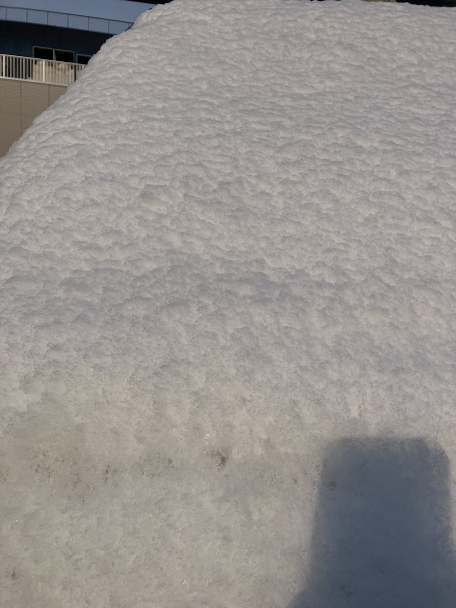 kush81 /EXODUS/seedbrothers tweet media