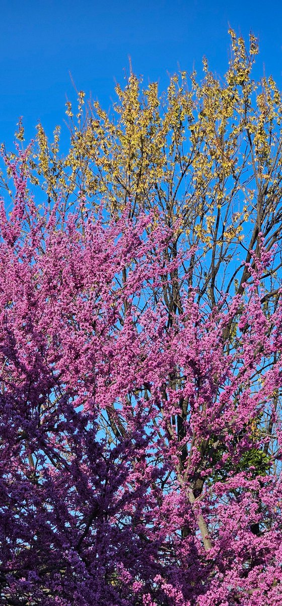 SFC (ret.) Robert Jordan tweet media