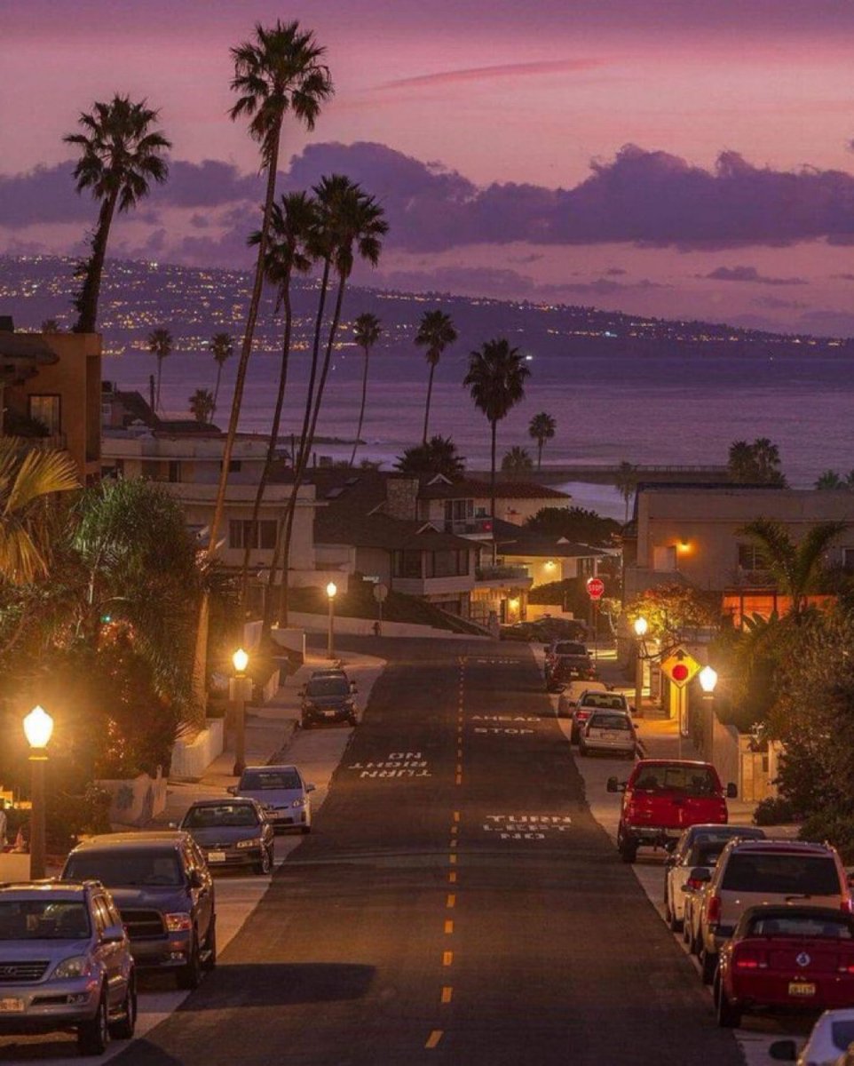 OThingstodo tweet media