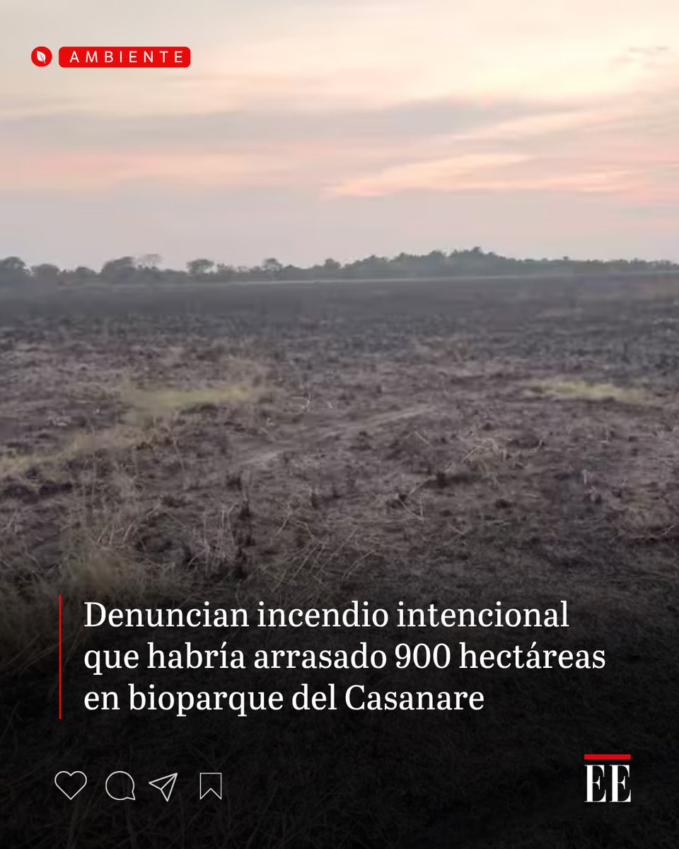 CodNoticiasCol's tweet photo. #MedioAmbiente - A través de un comunicado, la #fundaciónpalmarito  denunció un “devastador #incendio intencional que ha reducido a cenizas cerca de 900 hectáreas en #bioparque  de #Casanare en #colombia https://t.co/OLQh6PXQhY