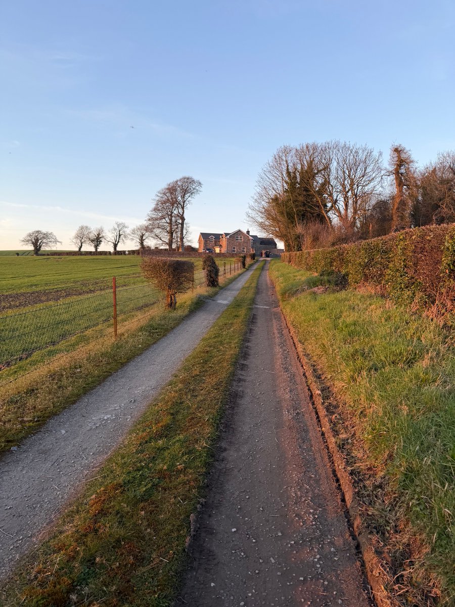 Michael B Murphy KC tweet media