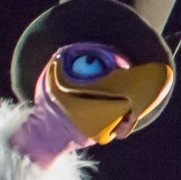 One of Those Splash People tweet media