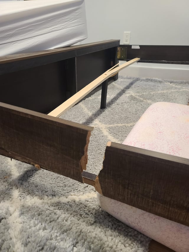 ✣ *'𝕷𝖊𝖎𝖙𝖍𝖆𝖓𝖎𝖆𝖓 𝕮𝖆𝖕𝖗𝖎𝖓𝖆𝖊 tweet media