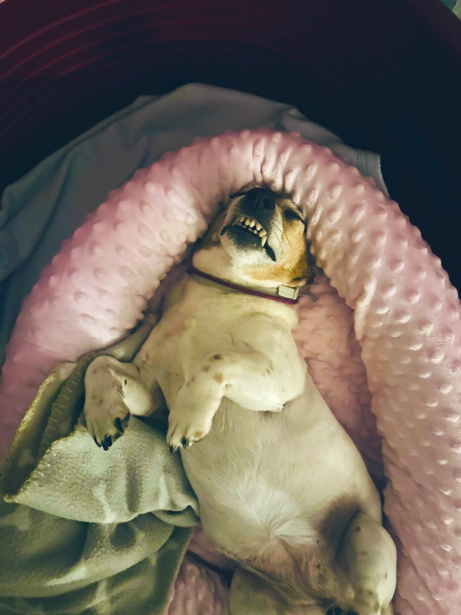 BaHakDK's tweet image. #víkend 

užite tak, aby Vám dobre bolo, milí moji💜🥂