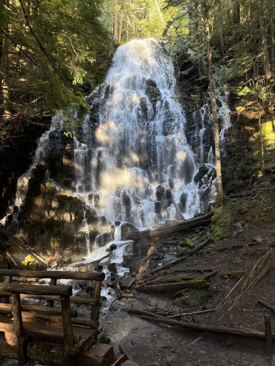 DudeBBCFlash's tweet photo. @PNWG_NATURE Yessir!! https://t.co/nTyHKQwTtw
