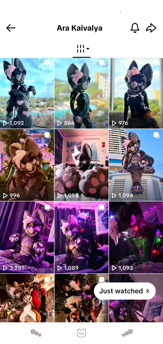 𝖓 𝖔 𝖓 𝖆 🦇 tweet media