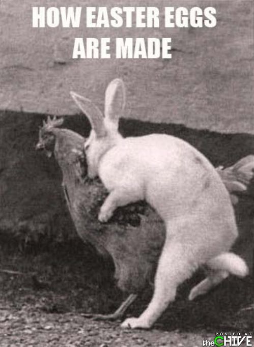 ่ๅนฒๅบๆ ๐๐๐ฟ ๐ฟ๐๐ ๐๐๐๐๐ tweet media