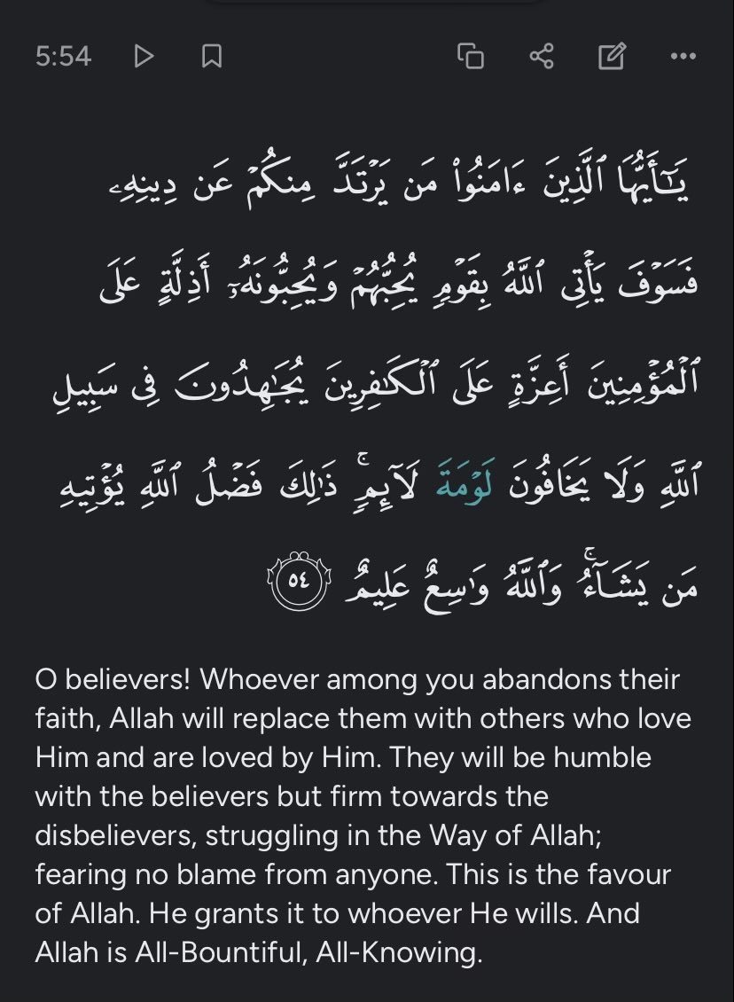 Josh Shap tweet media