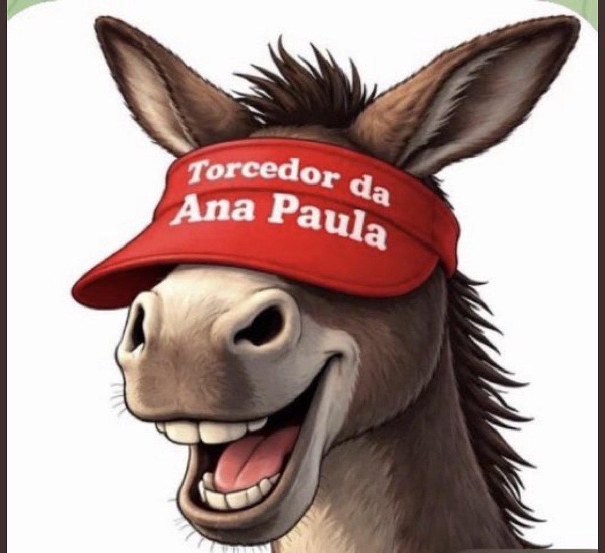 Danny SEⓟ 🐷💚🇺🇸🇧🇷 tweet media