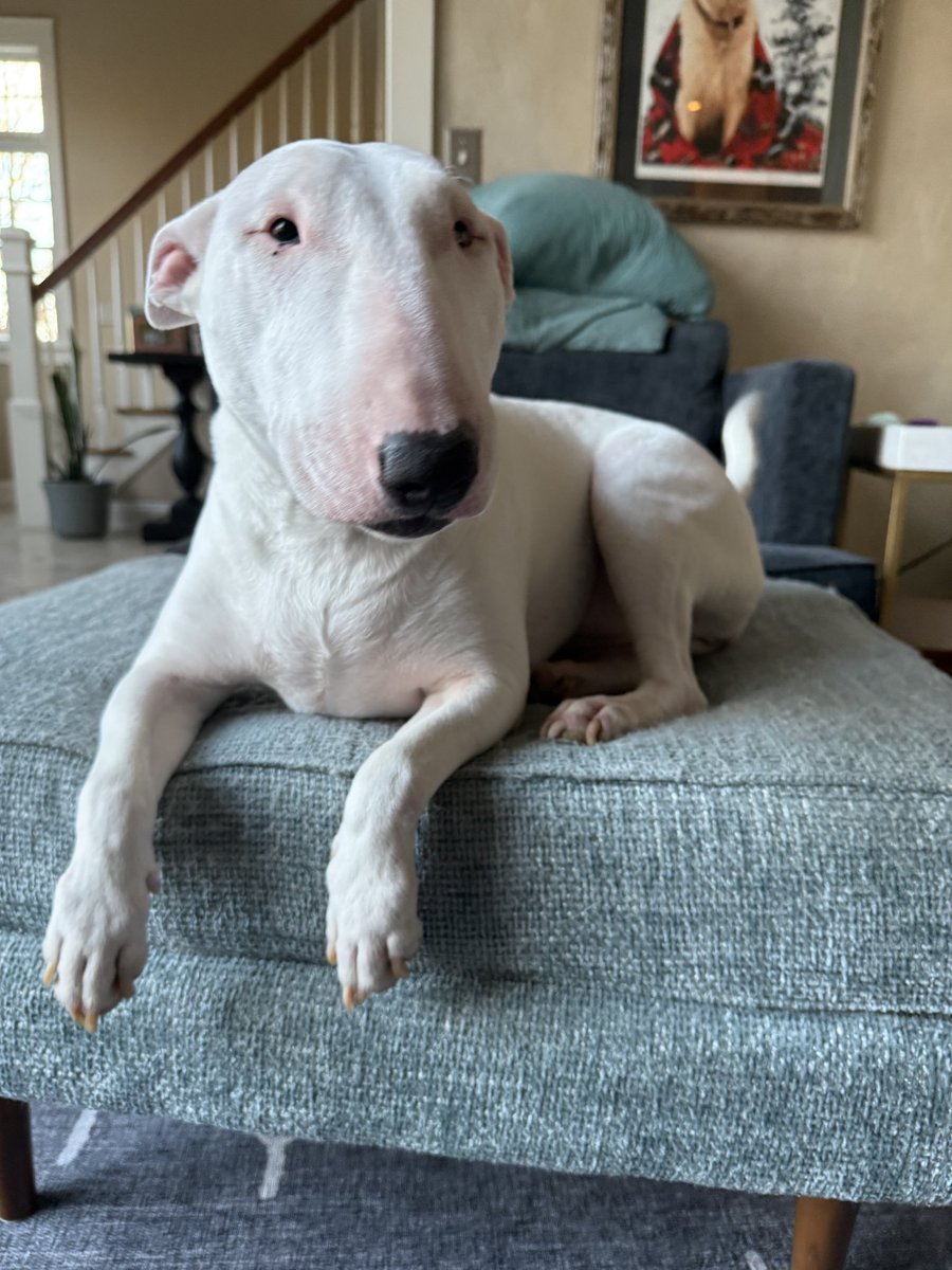 digginator tweet media