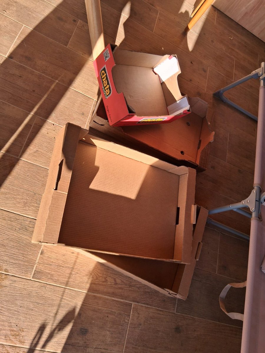 Aforismo Conaforo tweet media